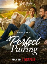 nonton-film-a-perfect-pairing-2022-subtitle-indonesia