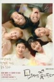 Like Flowers in Sand (2023)