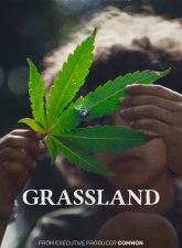 nonton-film-grassland-2024-subtitle-indonesia