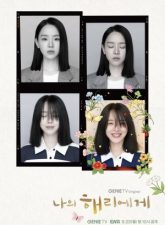 nonton-dear-hyeri-2024-subtitle-indonesia