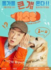 nonton-dog-knows-everything-2024-subtitle-indonesia