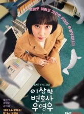 nonton-extraordinary-attorney-woo-2022-subtitle-indonesia