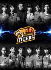 nonton-handsome-tigers-2020-subtitle-indonesia