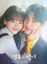 nonton-head-over-heels-2025-subtitle-indonesia