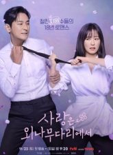 nonton-love-your-enemy-2024-subtitle-indonesia