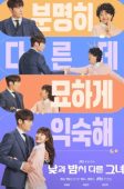 Miss Night and Day (2024)