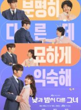 nonton-miss-night-and-day-2024-subtitle-indonesia
