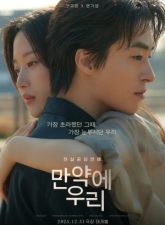 nonton-once-we-were-us-2025-subtitle-indonesia